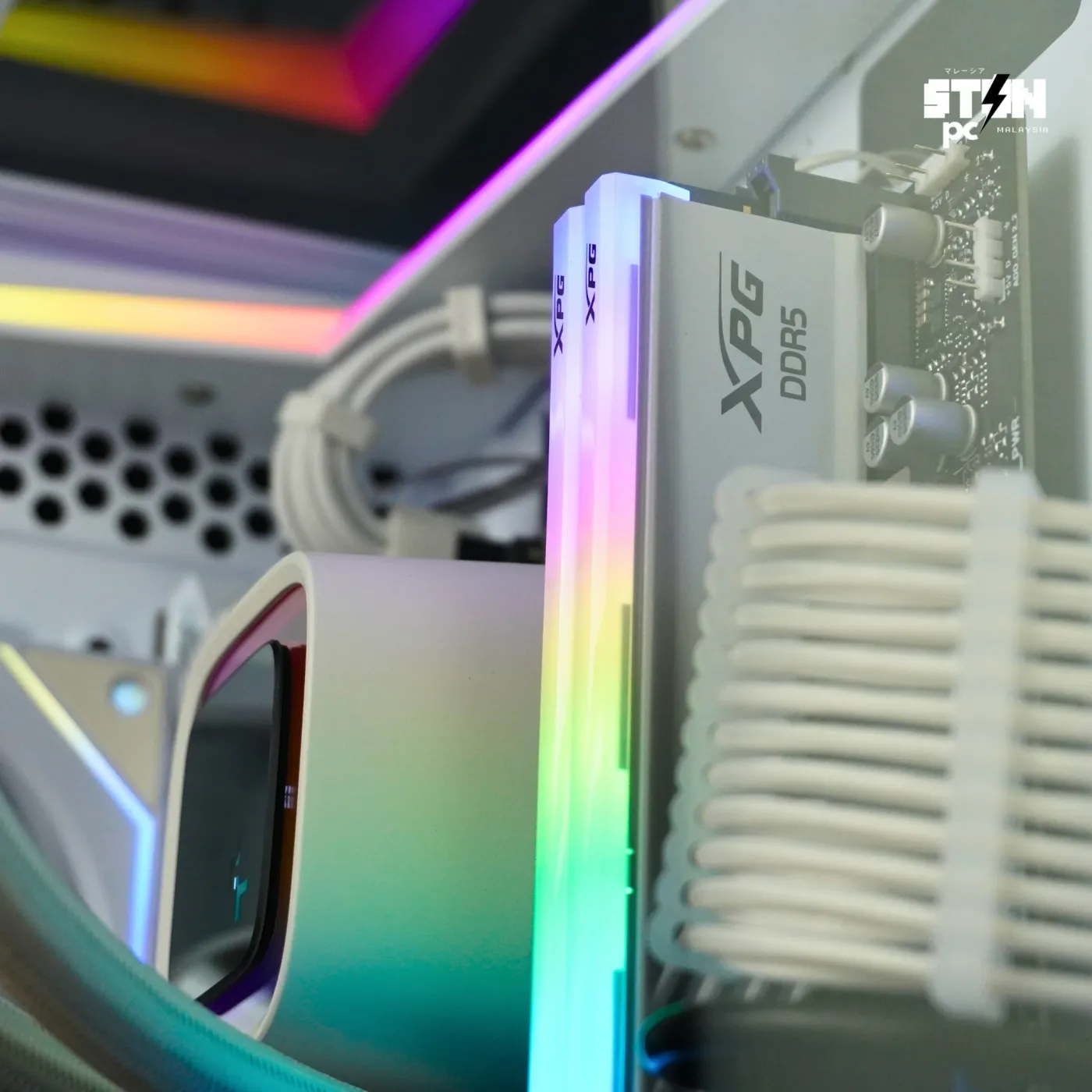 Build 138 — photo 7