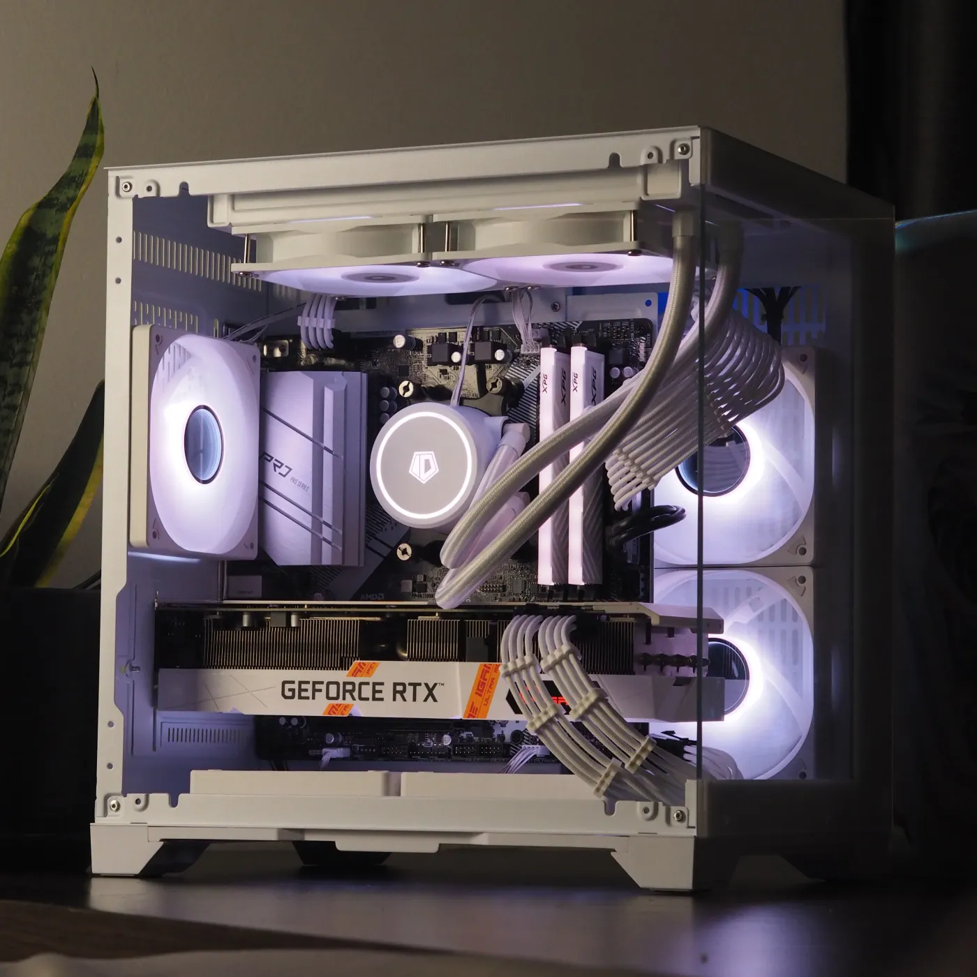 Build 17 — photo 6