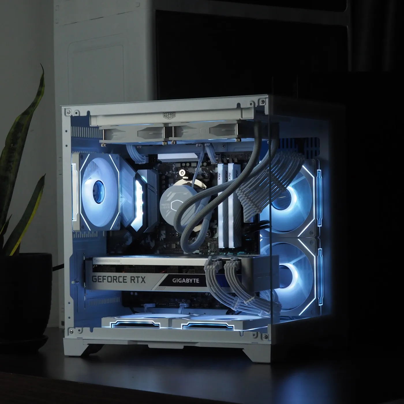 Build 18 — photo 3