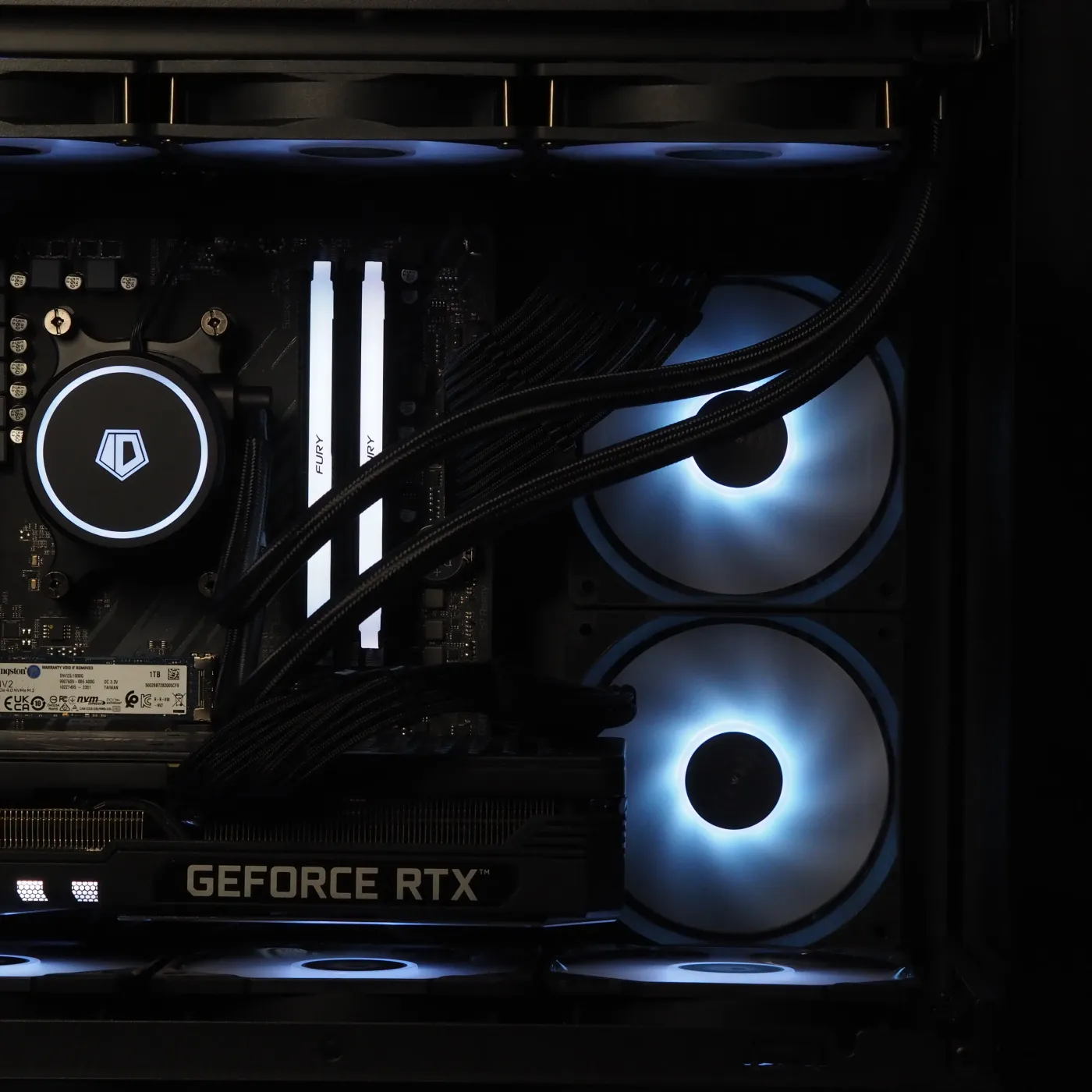 Build 21 — photo 3