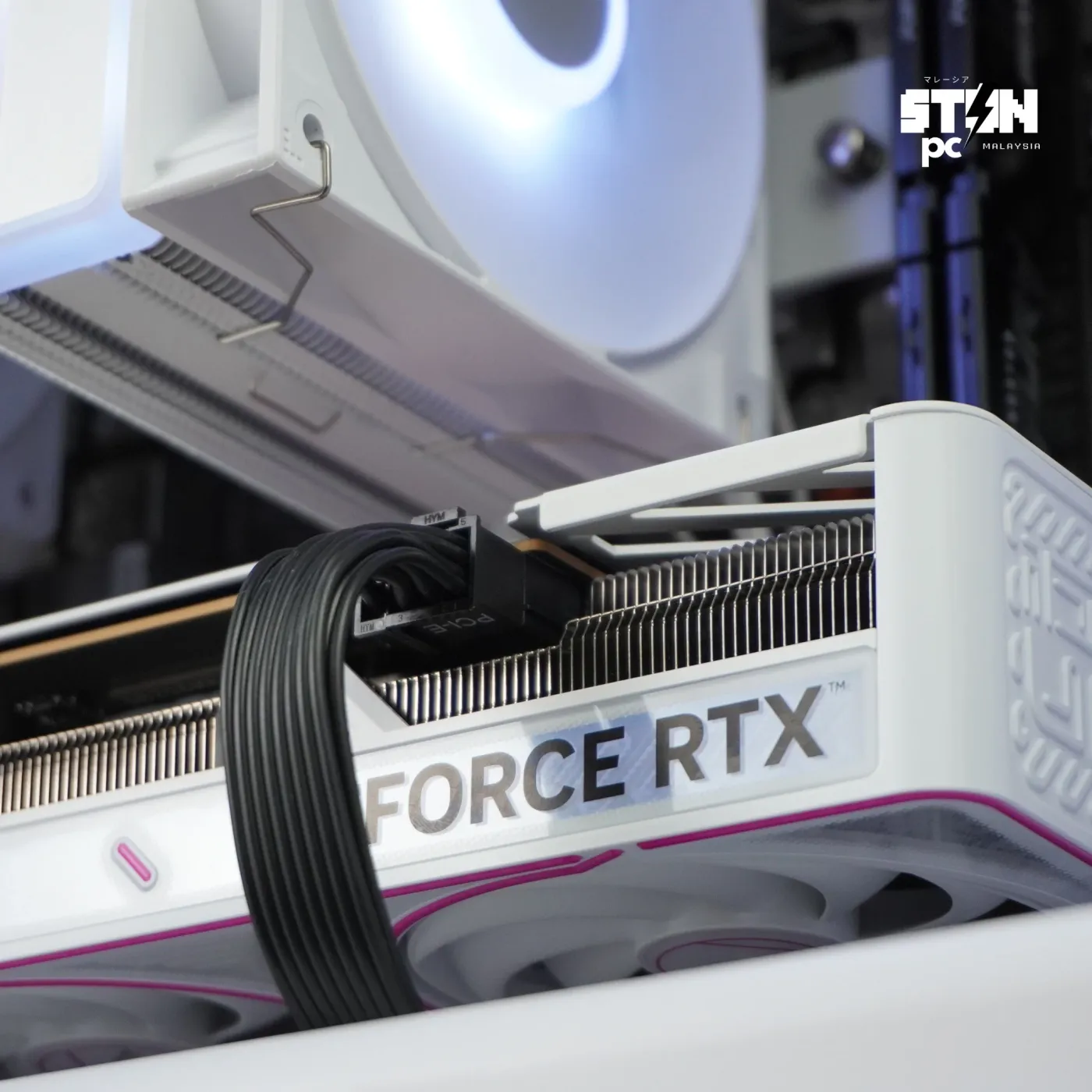 Build 213 — photo 9
