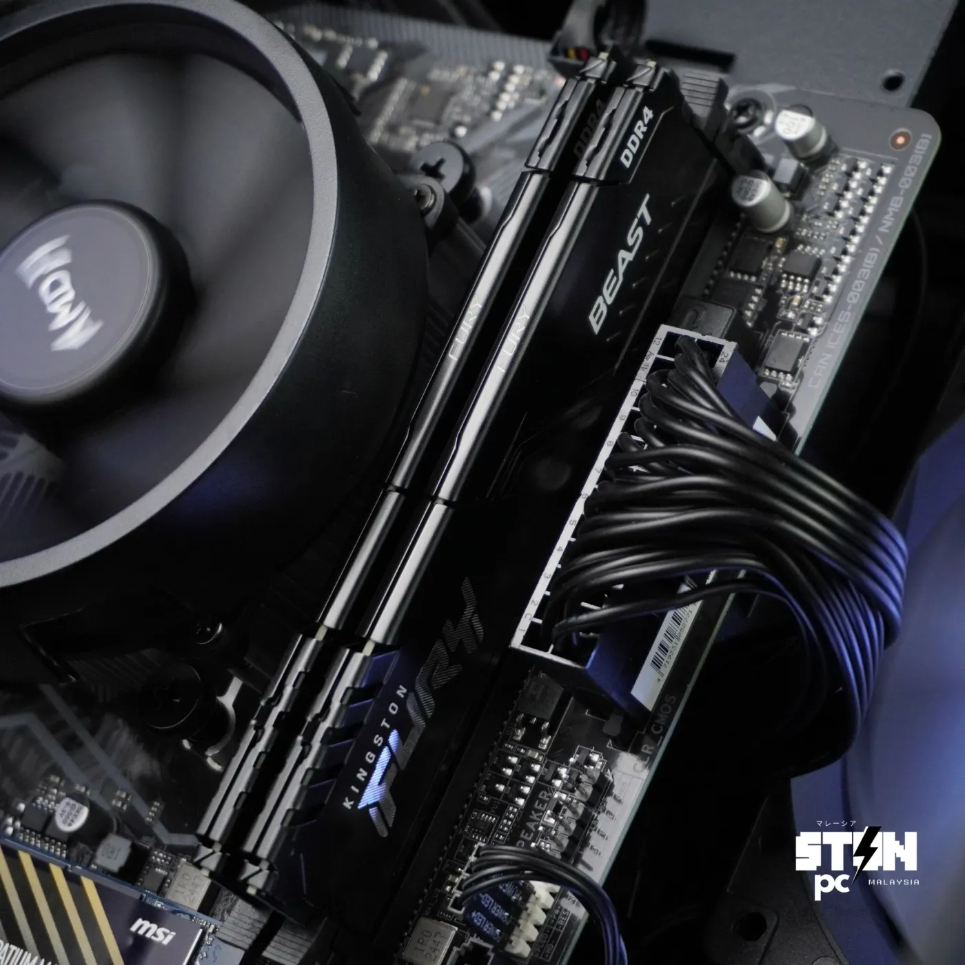 Build 223 — photo 4