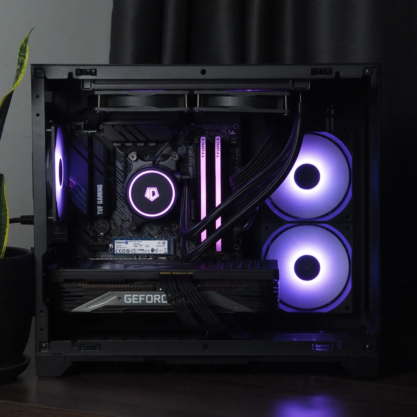 Build 23 — photo 7