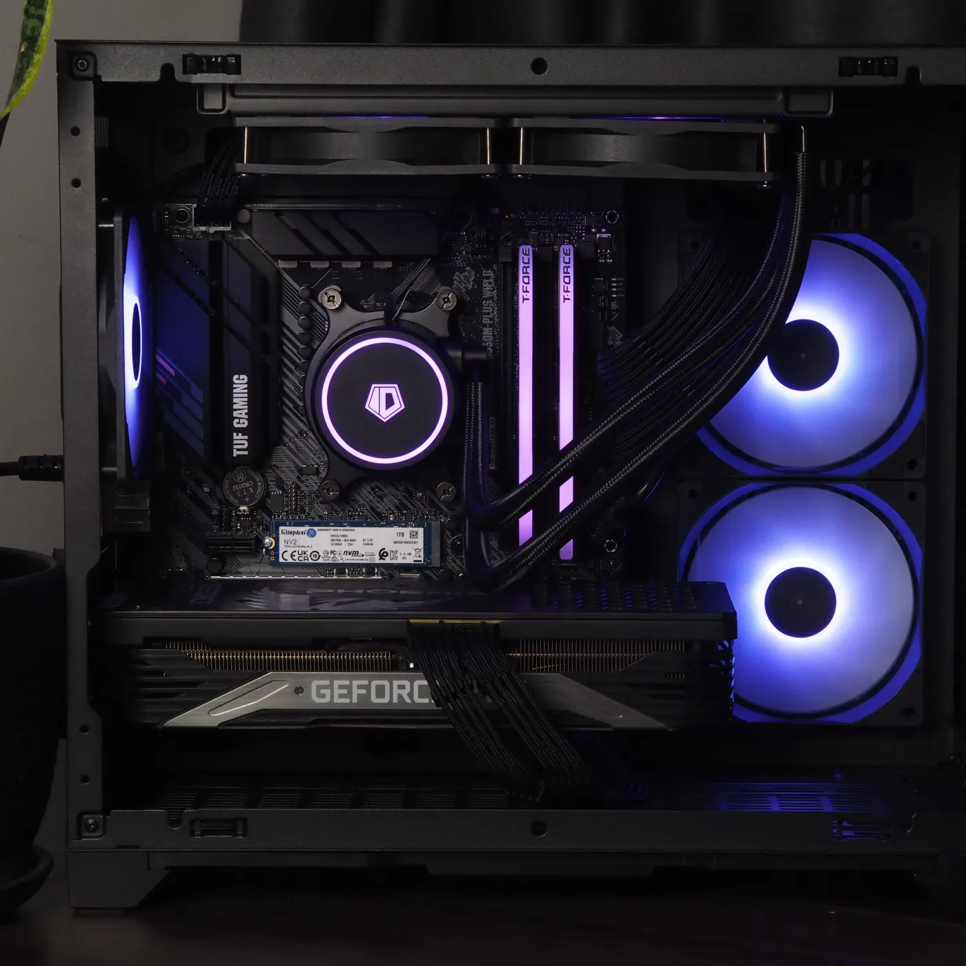 Build 23 — photo 8