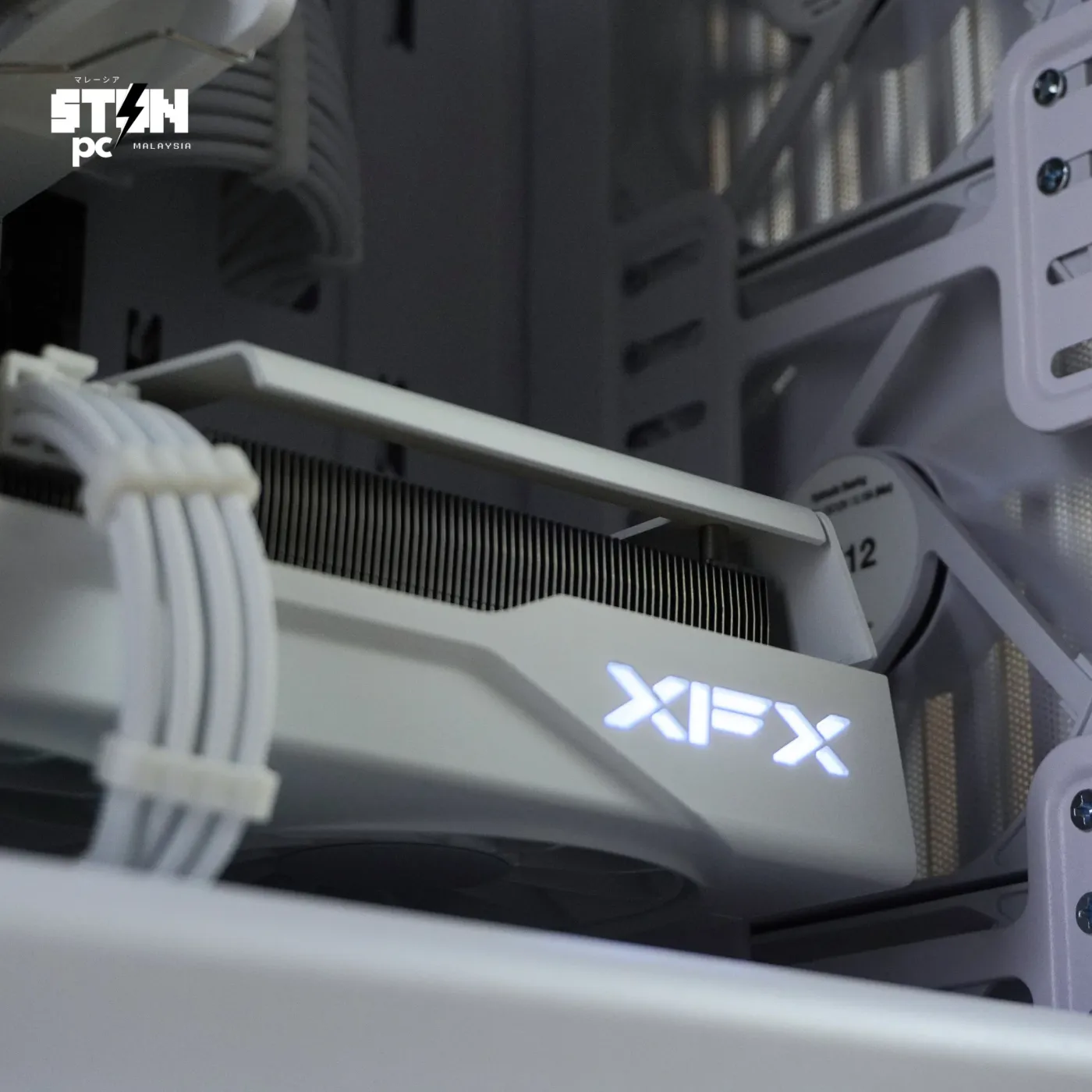 Build 231 — photo 4