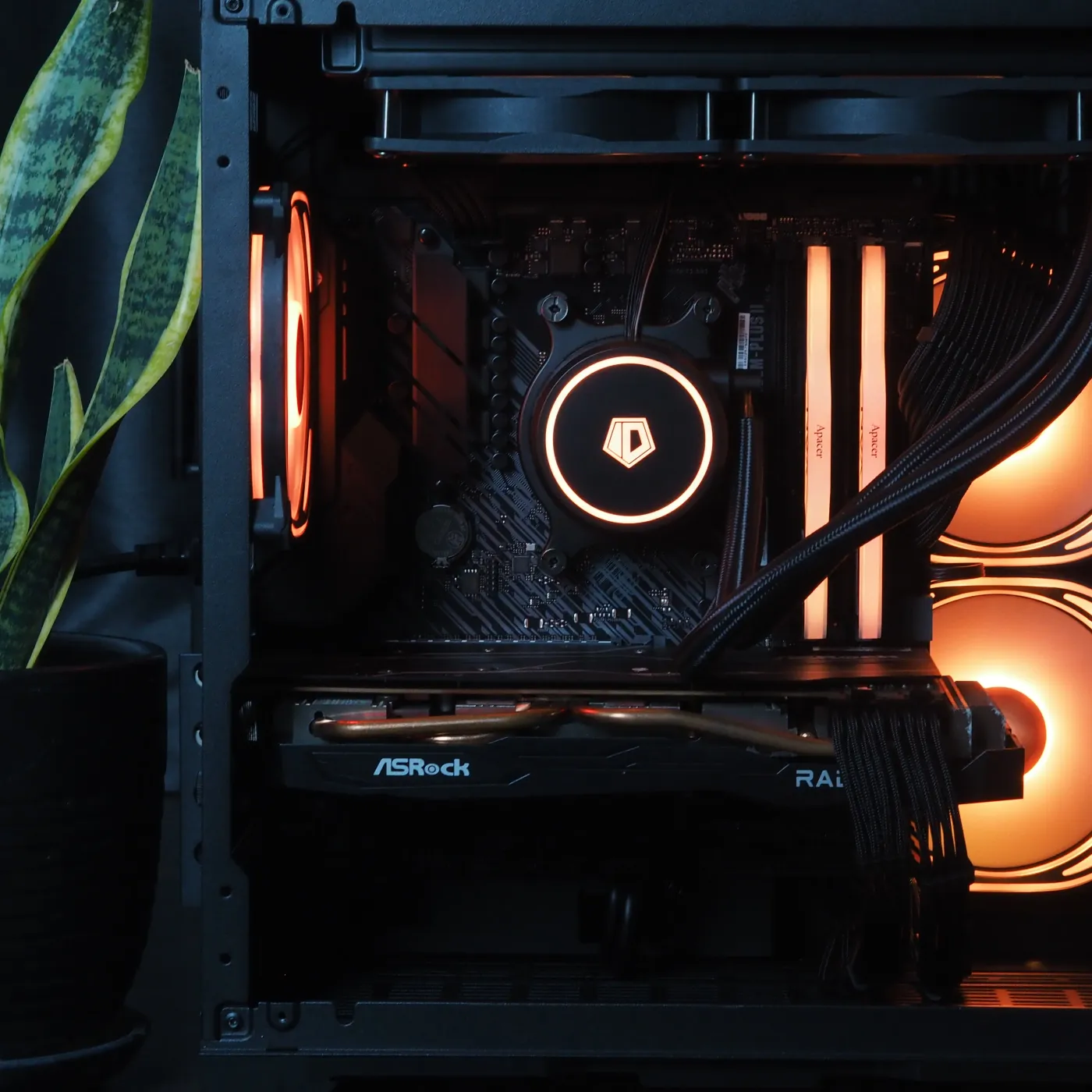 Build 24 — photo 5