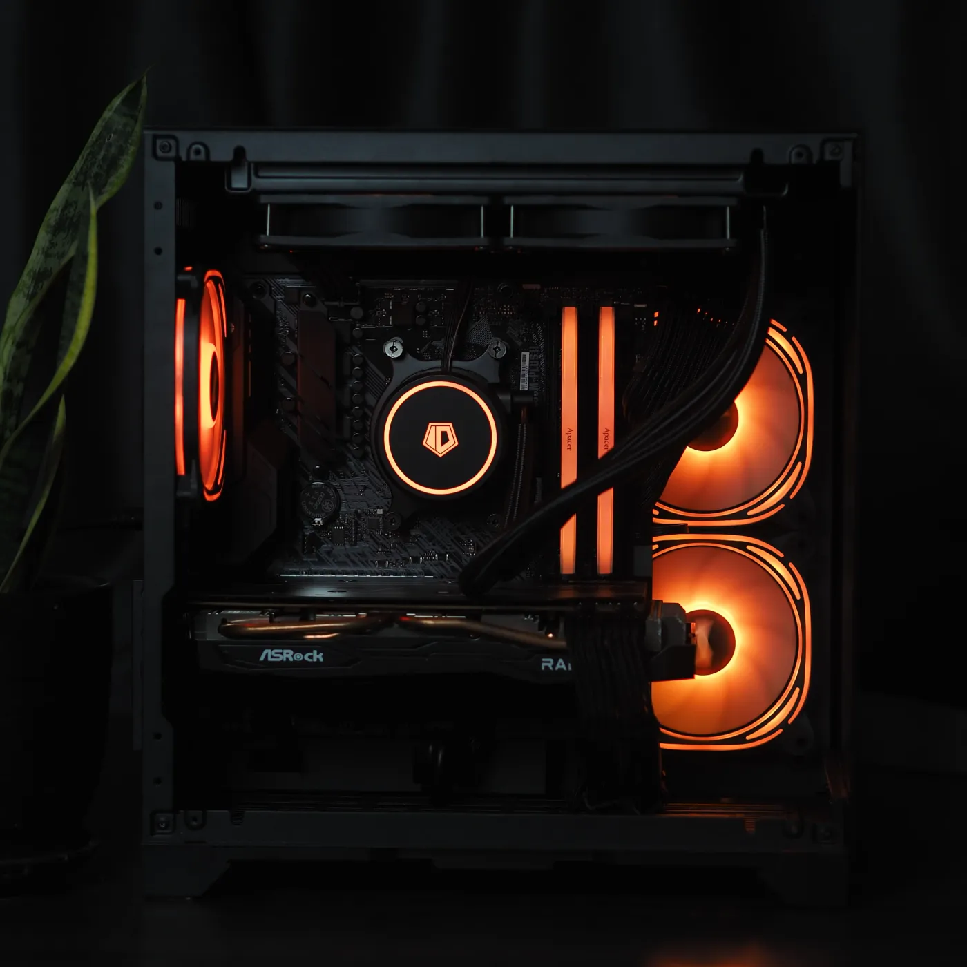 Build 24 — photo 6