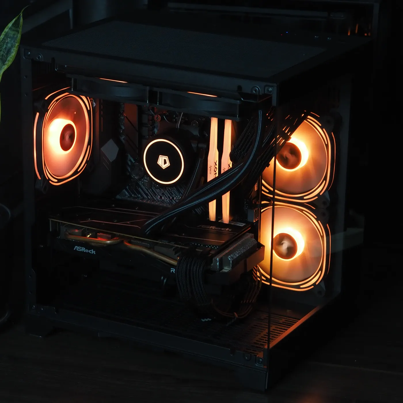 Build 24 — photo 7