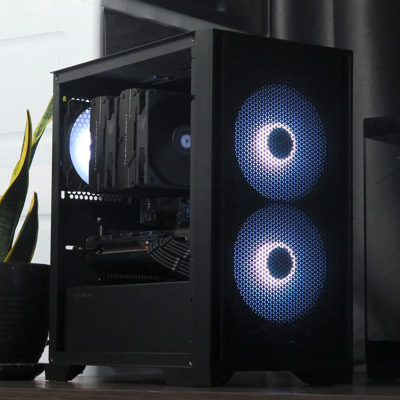 Build 25 — photo 3
