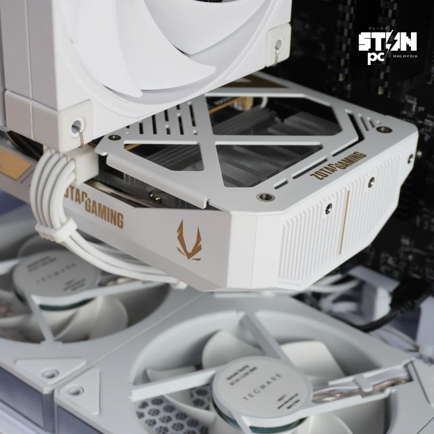 Build 310 — photo 4