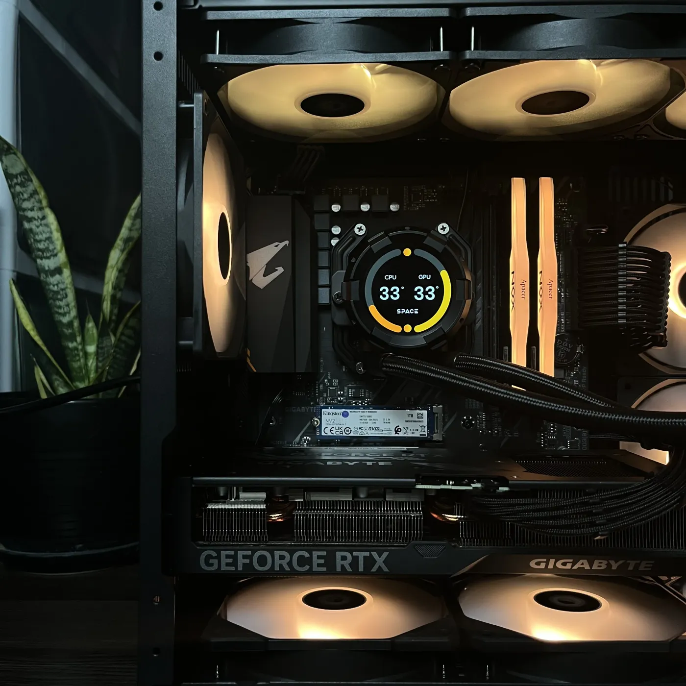 Build 37 — photo 3
