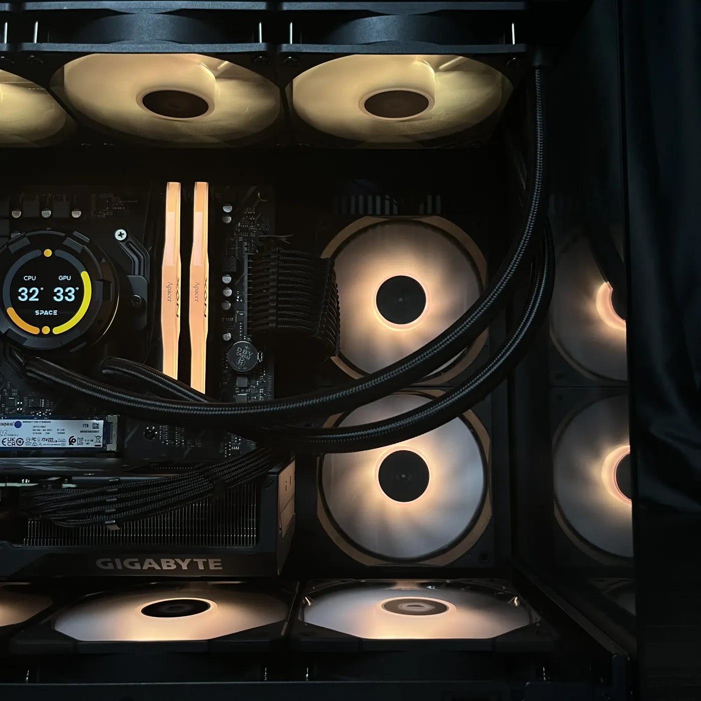 Build 37 — photo 4