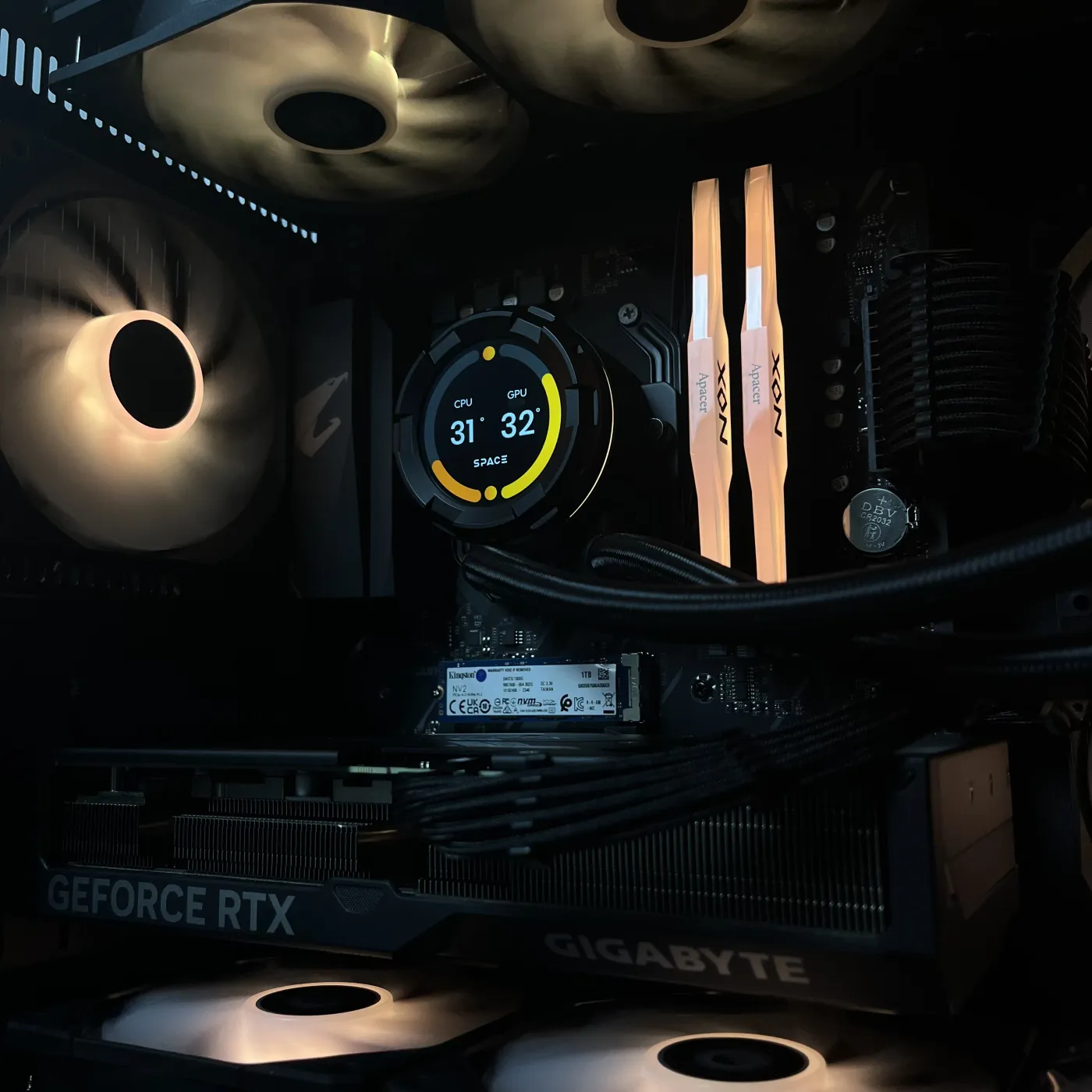Build 37 — photo 5