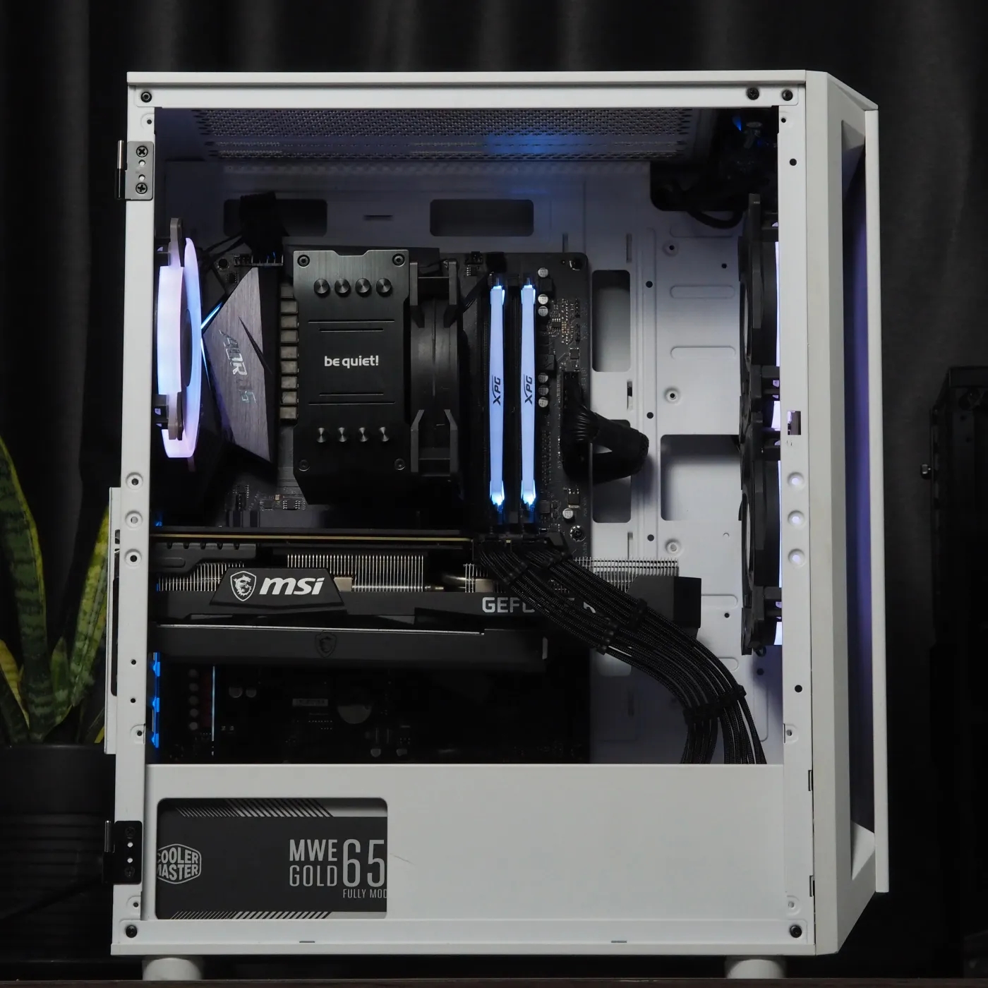 Build 38 — photo 3