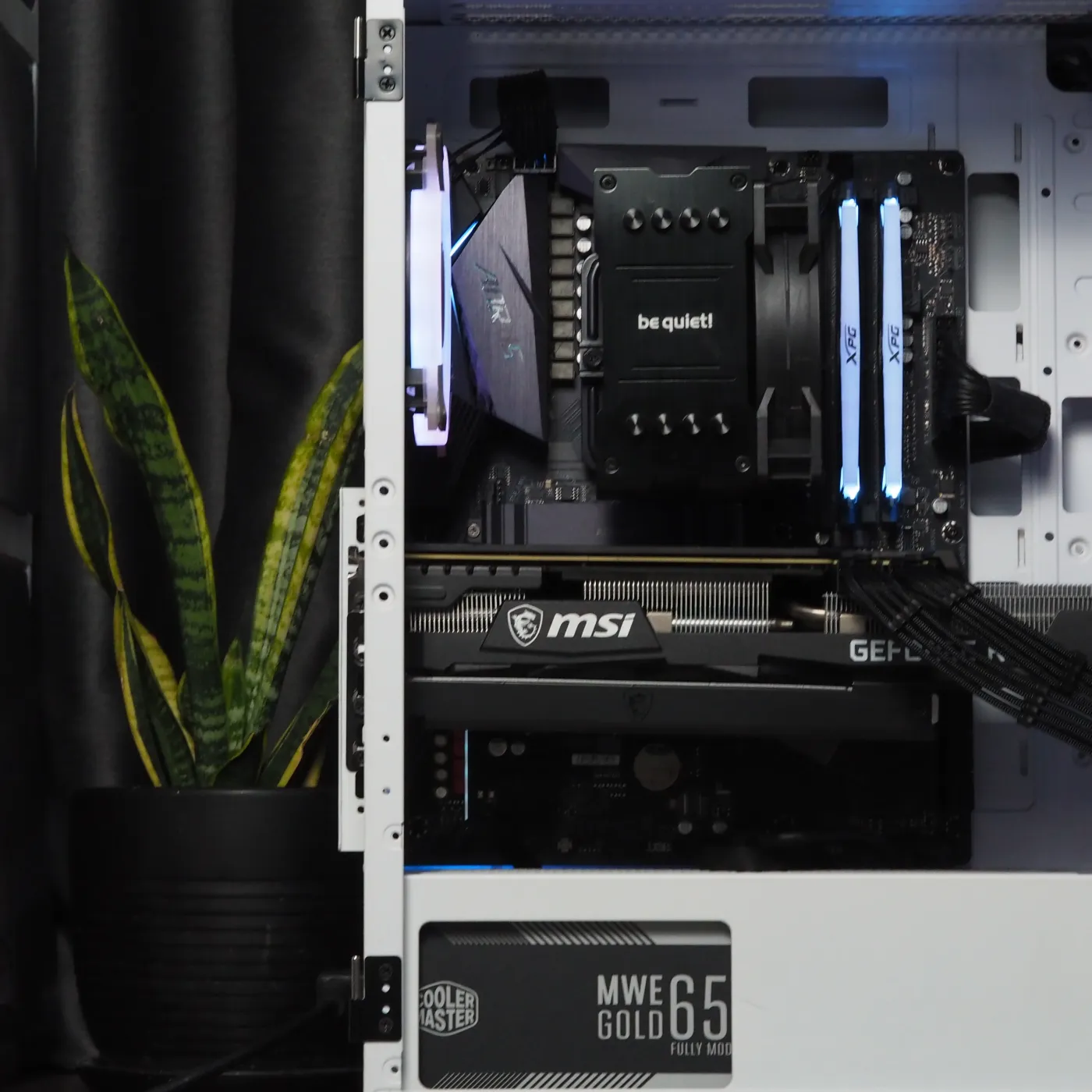 Build 38 — photo 4