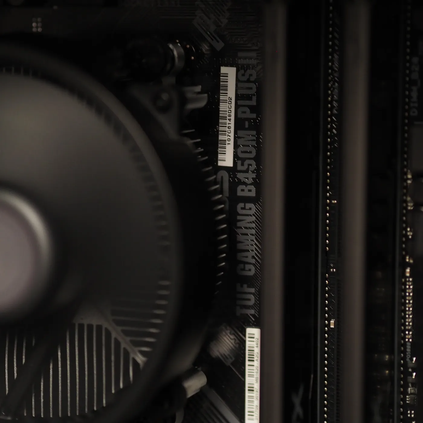 Build 39 — photo 5