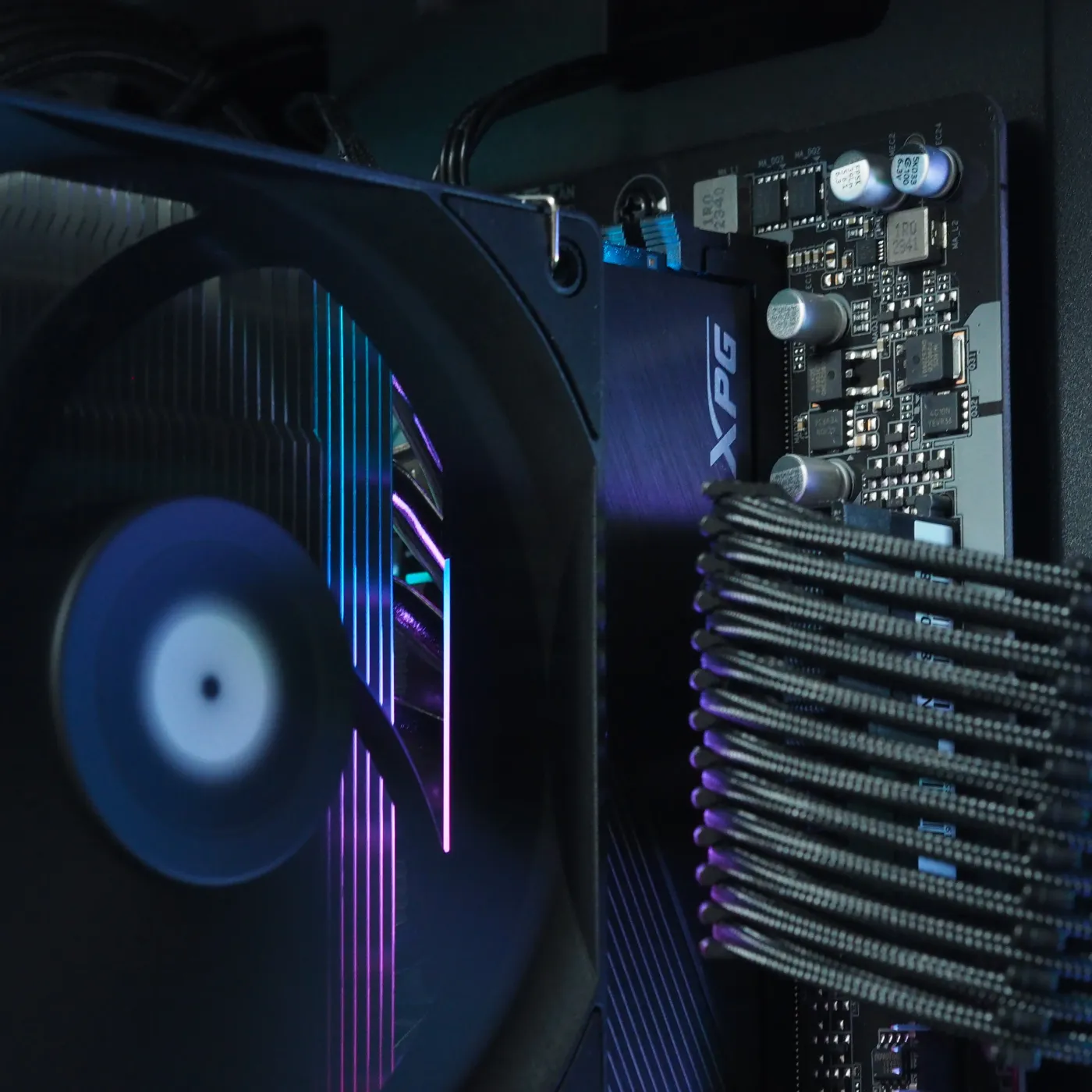 Build 41 — photo 4
