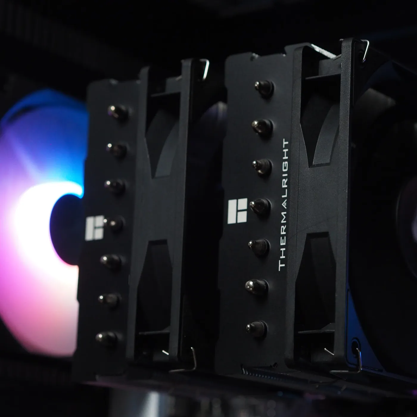 Build 41 — photo 5