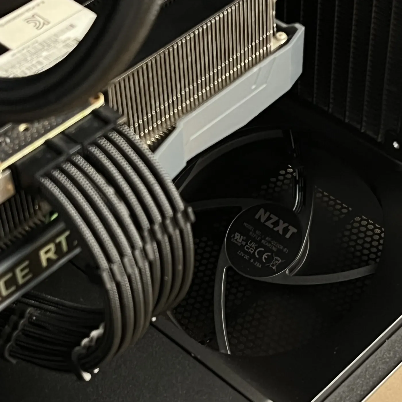 Build 51 — photo 10
