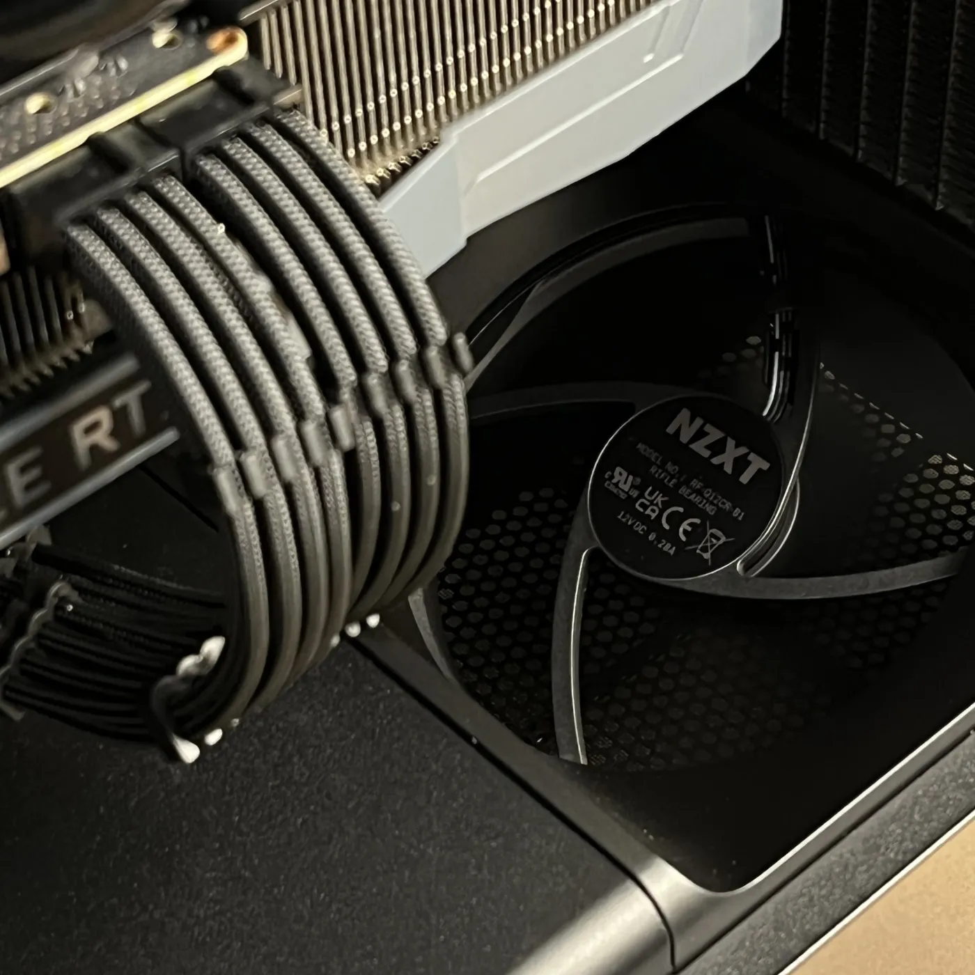 Build 51 — photo 12