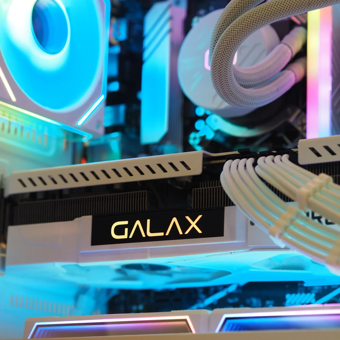 Build 55 — photo 3