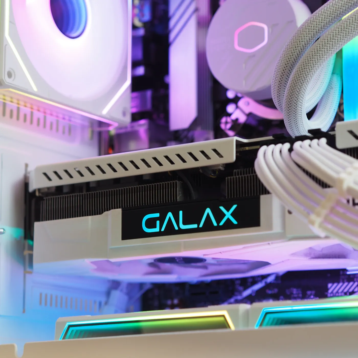 Build 55 — photo 6