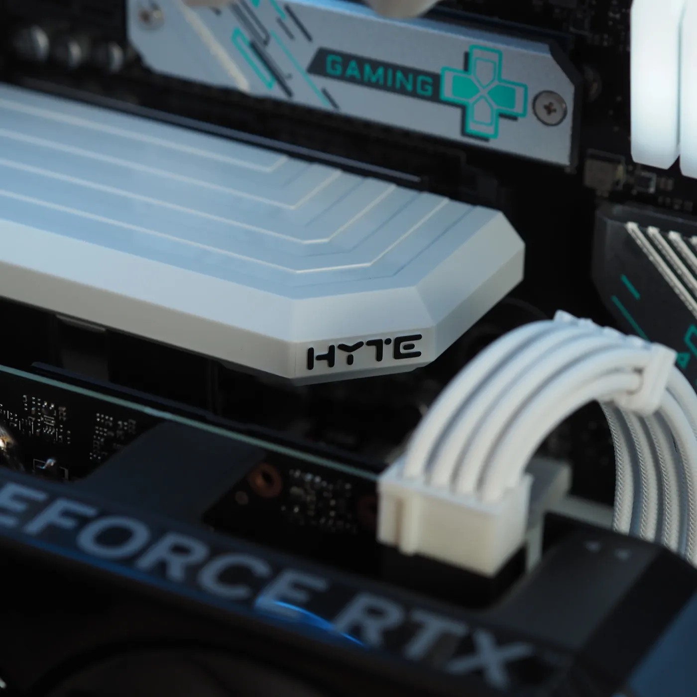 Build 56 — photo 9