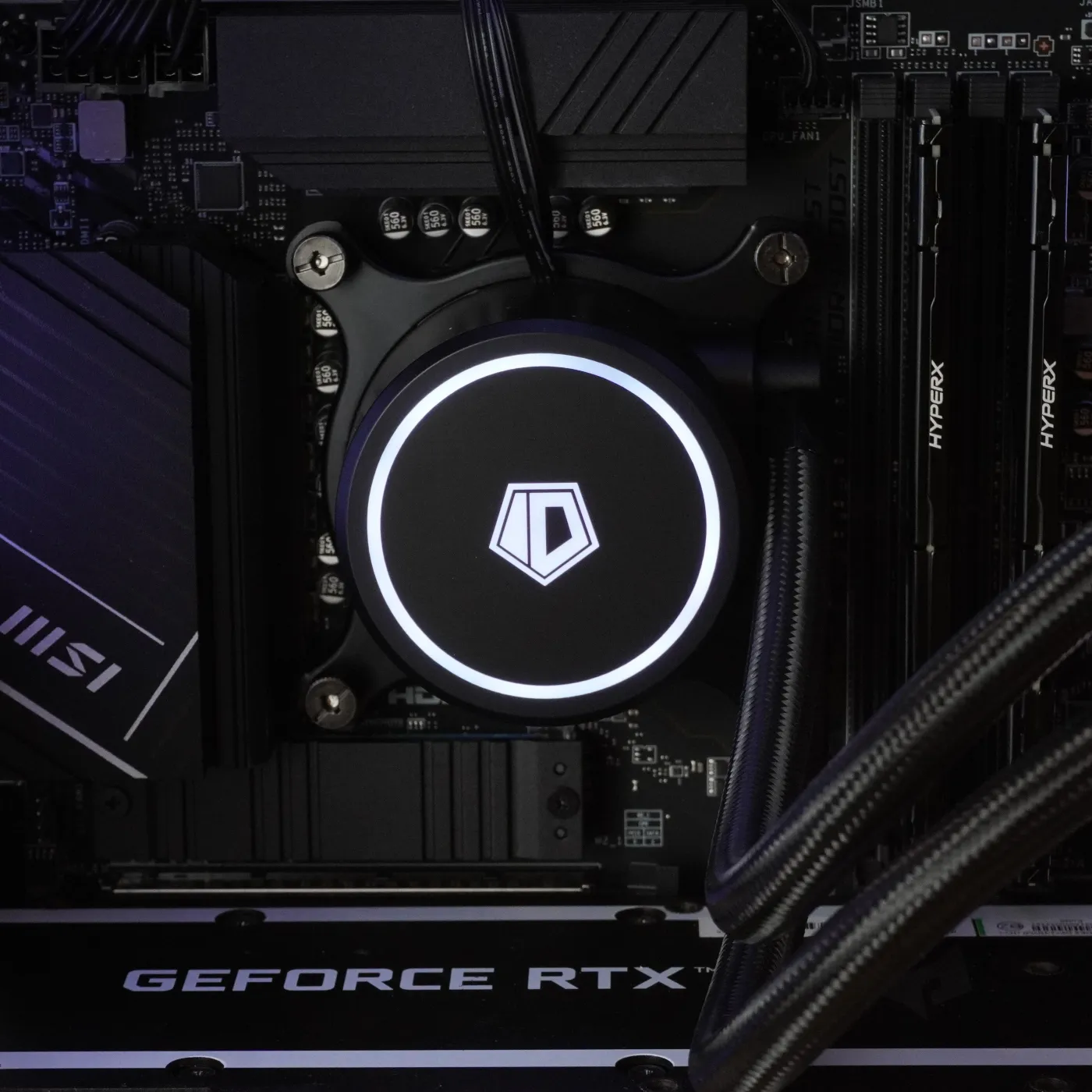 Build 61 — photo 5